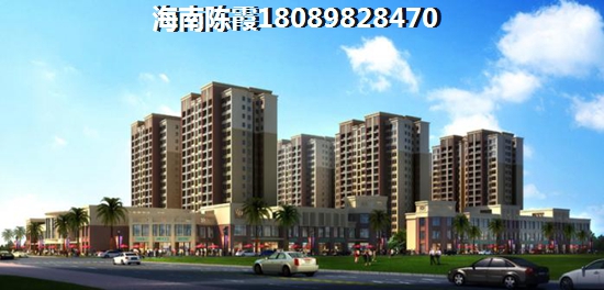 金翰林房地产海南开发的房子