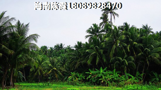 华侨城·椰海蓝天二手房还能买吗