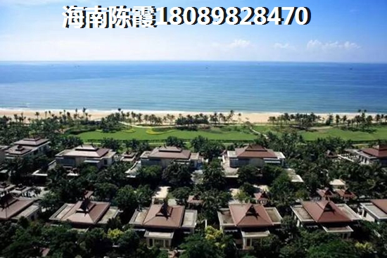 海南候鸟人才引进条件