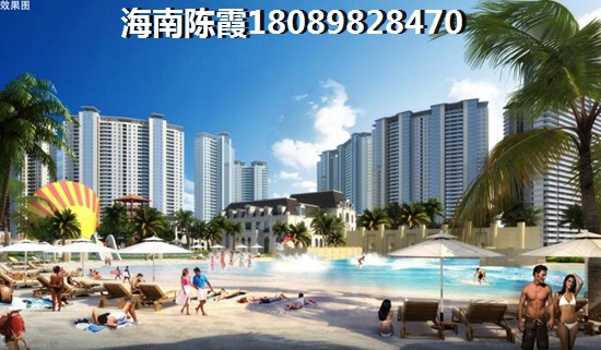 海南醉有价纸的新房touzi项目