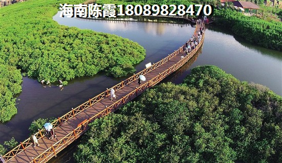鲁能海蓝椰风买房靠谱吗？