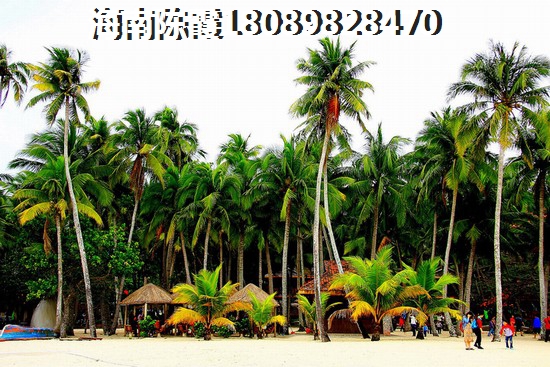 海口外滩中心二手房房价为何这么高