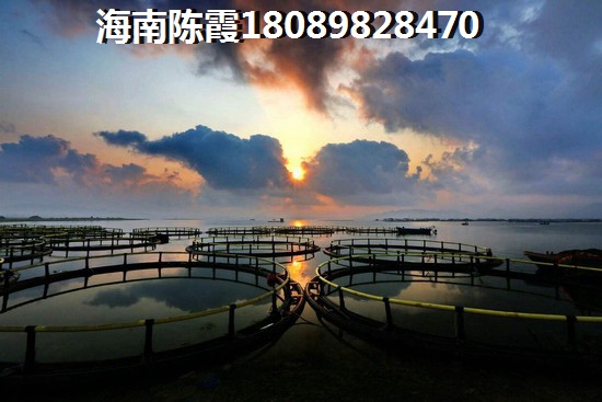 泗阳县街头美食有哪些（泗阳小吃街有哪些）