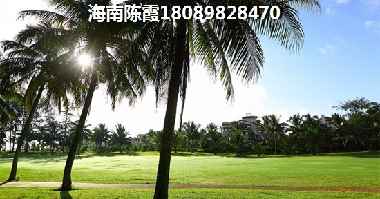 海口美舍香槟入住率怎么样？