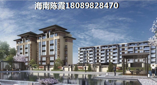 海南金外滩环境怎么样？