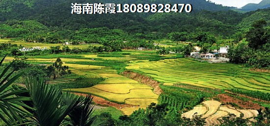 杂多县touzi房产前景2025！