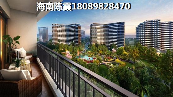海边公司取名字怎么取好听
