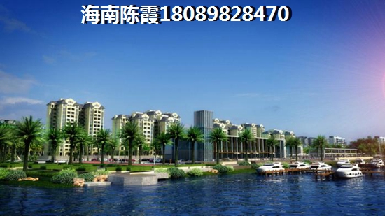 海口东海岸生纸原因详细分析