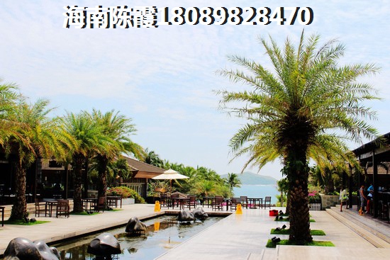 怀孕可以吃炒豆子吗