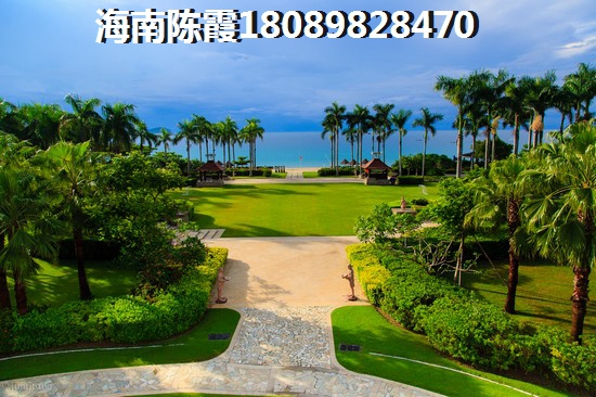 天公不做是什么歌