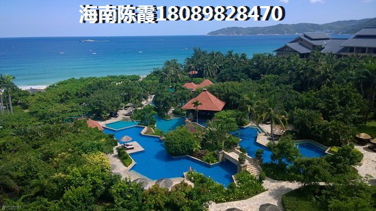 海南海口金鹿雅苑生纸快吗? 海南海口金鹿雅苑生纸快吗?